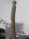 schatten